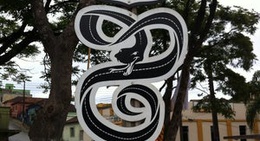 obrázek - Rastro da Serpente