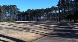 obrázek - Arnold Palmer Signature Golf Course