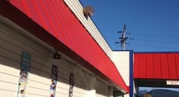 obrázek - Dairy Queen