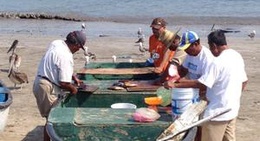 obrázek - Playa Norte