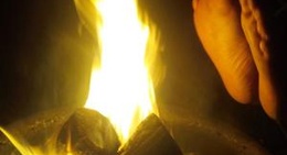 obrázek - Saugeen Cedars