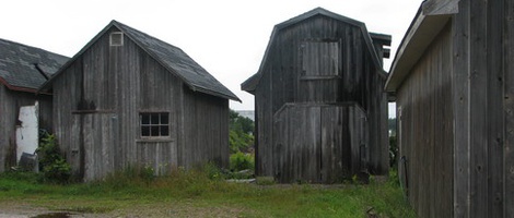 obrázek - Georgetown