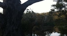 obrázek - Little Swanport River