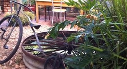 obrázek - Chill Out Ice Creamery And Coffee Garden