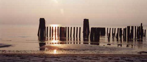 obrázek - Cape Charles