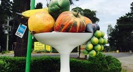 obrázek - Bilpin Fruit Bowl