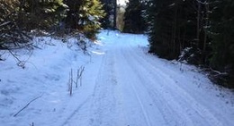 obrázek - Tysovets Hiking Trail