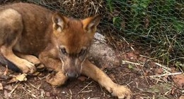 obrázek - Basondo, refugio de fauna silvestre