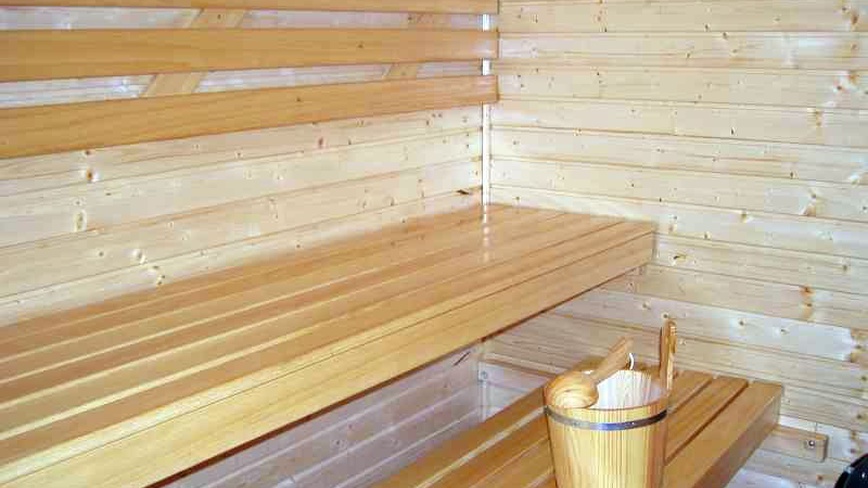 Chalupa Dolní Morava s privátní saunou - Sauna - Sauna