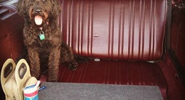 obrázek - Capri Drive-In Theater