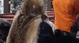 obrázek - The Lodge at Sugar Bowl