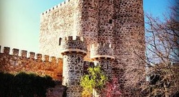 obrázek - San Martín de Valdeiglesias