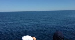 obrázek - Gulf Of Maine