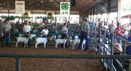 obrázek - Cowley County Fair Grounds