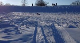 obrázek - Hedges Boyer Park