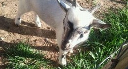 obrázek - Perryville, MO