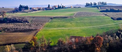 obrázek - Belvedere Langhe