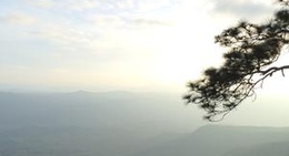 obrázek - ผาหมาดดูก