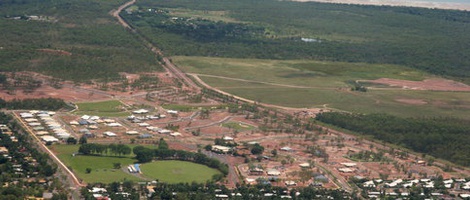 obrázek - Casuarina