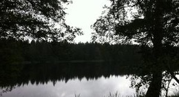 obrázek - Skogen bredvid motorvägen någonstans i Småland.