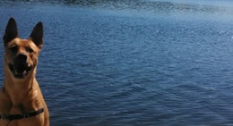 obrázek - Hazelhurst, WI