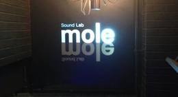 obrázek - Sound Lab mole