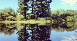 obrázek - Newberry, MI