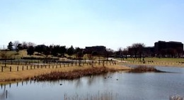 obrázek - Musashino-no-mori Park (武蔵野の森公園)