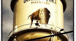 obrázek - Buffalo Trace Distillery