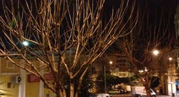 obrázek - Teatro Cine Perelló