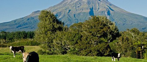 obrázek - Egmont Village