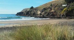 obrázek - Taylors Mistake