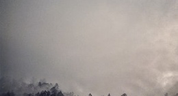 obrázek - cemorosewu