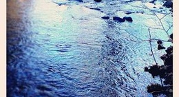 obrázek - La Bella Vita