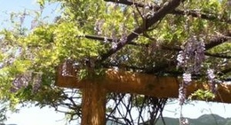 obrázek - 新宮城跡 (丹鶴城公園)