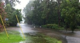 obrázek - Sherwood Forest