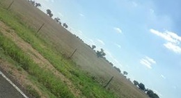 obrázek - Canowindra