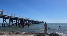 obrázek - Semaphore Beach