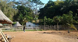 obrázek - Botanical Gardens, Entebbe