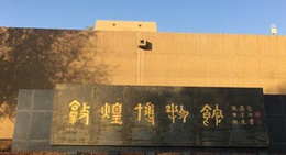obrázek - Dunhuang Museum (敦煌博物馆)