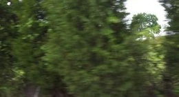 obrázek - Webb City, AR