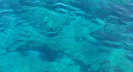 obrázek - Pina Reef Dive Spot