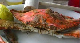 obrázek - Pinchers Crab Shack