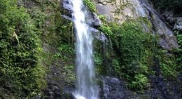 obrázek - Cassowary Falls And Swimming Hole