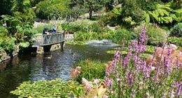 obrázek - Royal Tasmanian Botanical Gardens