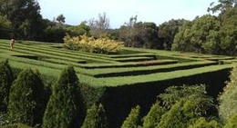 obrázek - The Enchanted Maze Garden