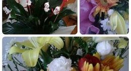 obrázek - Sülükgölü