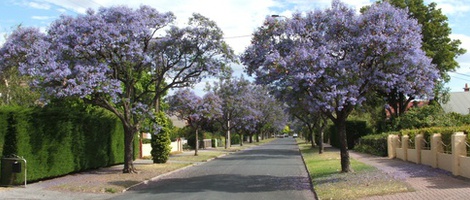 obrázek - Kensington and Norwood