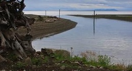 obrázek - Saratoga Beach