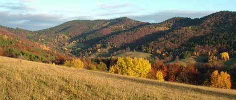 obrázek - Lazy pod Makytou